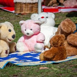 Teddy Bears